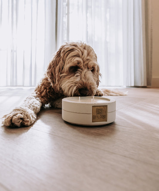 Hoe geurkaarsen je brein en emoties beïnvloeden